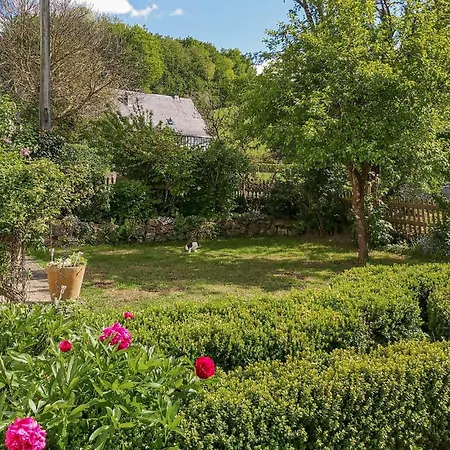 Pet Friendly In Attendorn-niederhelden * Niederhelden
