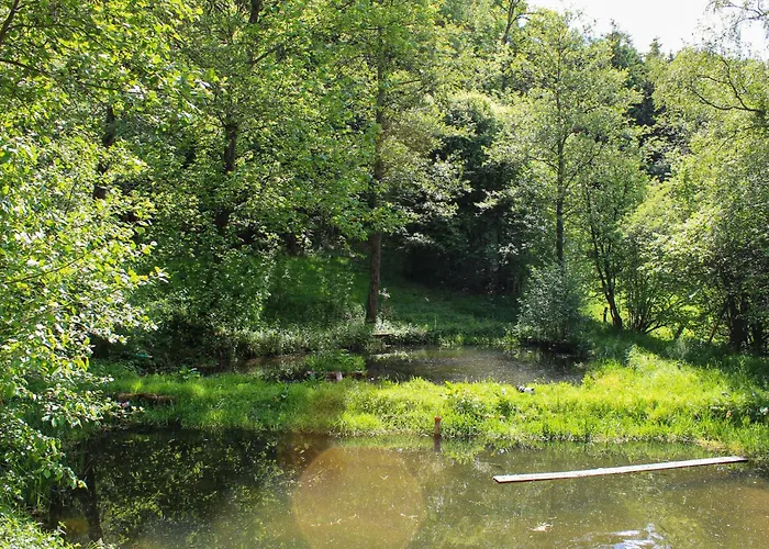 Pet Friendly Apartamento